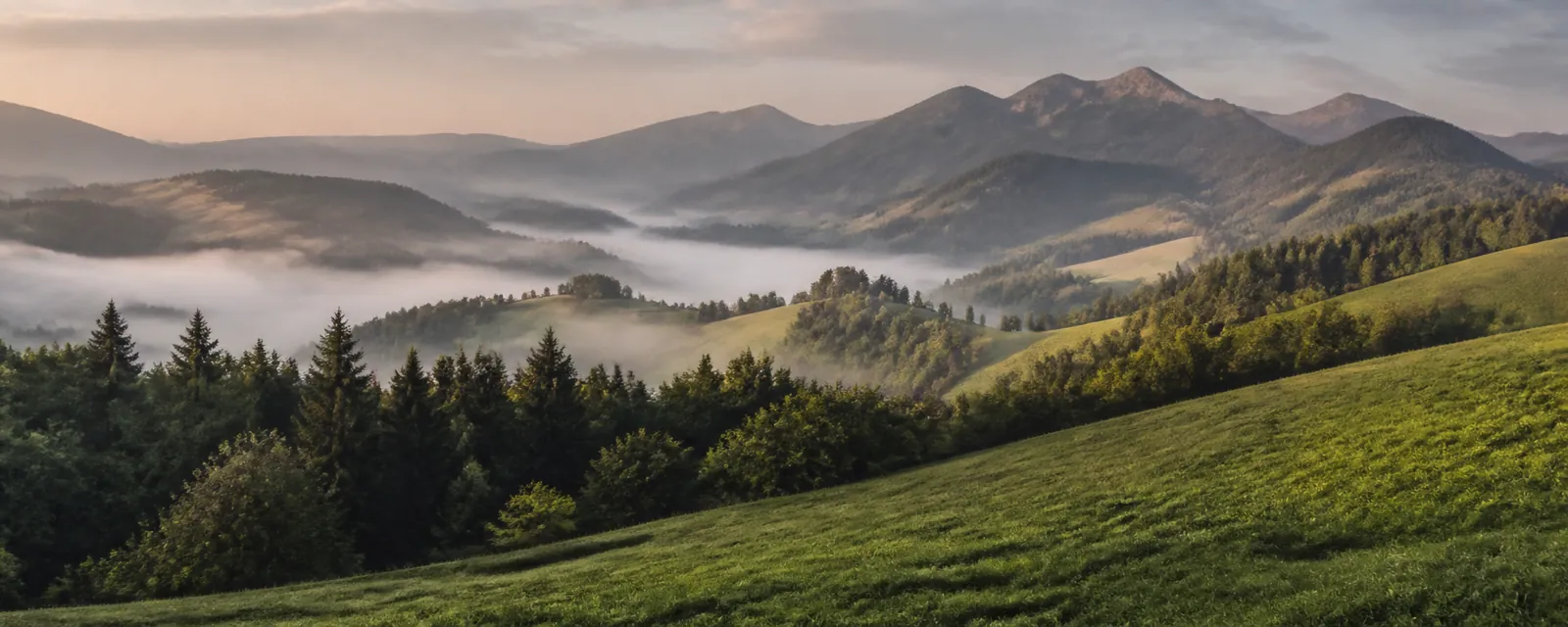 Rolling green hills and misty forests at sunrise